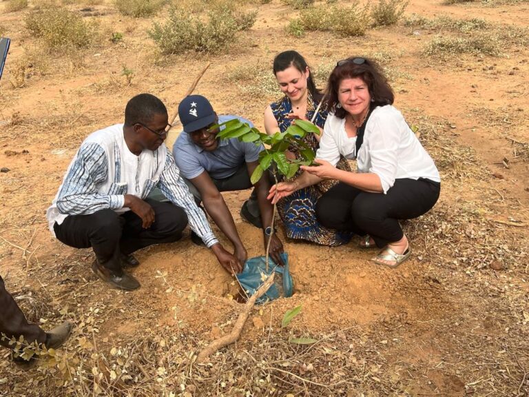 Reboiser pour un avenir durable 🌱" Lors de cette journée de reboisement, nous avons uni nos forces pour planter des arbres et contribuer à la préservation de notre environnement. Chaque arbre planté symbolise notre engagement envers une planète plus verte et un avenir meilleur pour les générations à venir. Ensemble, donnons-nous la main pour protéger notre écosystème ! 🌳✨